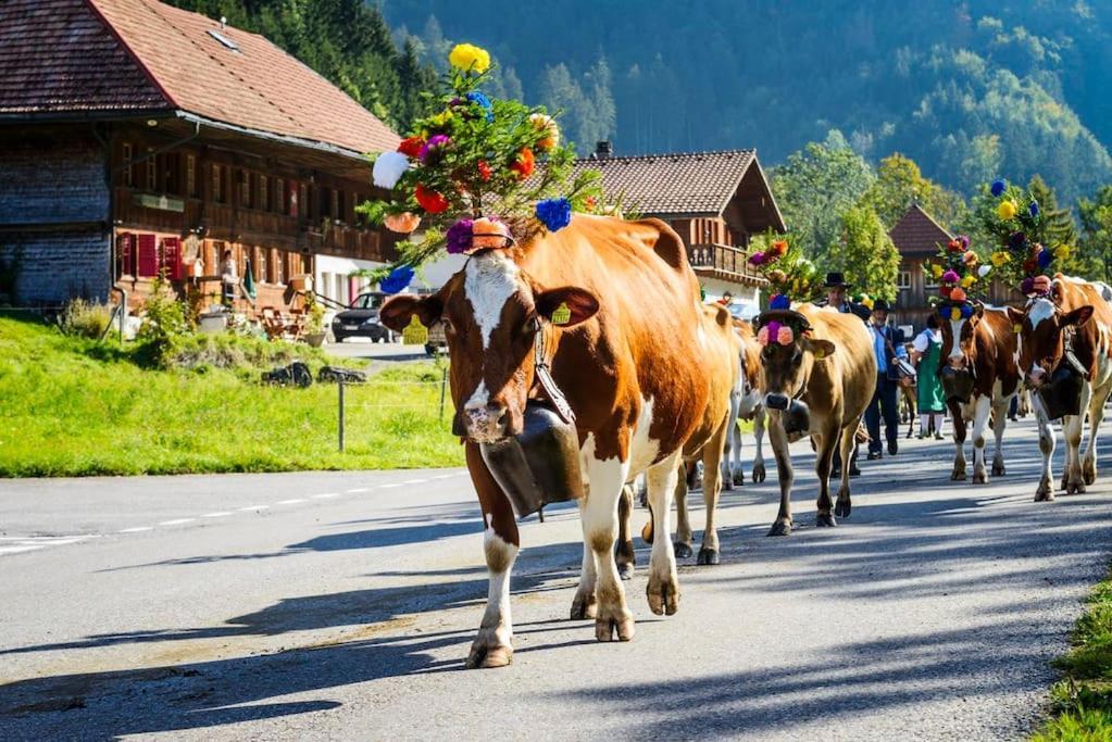 Confortable Chalet Avec Magnifique Vue En Gruyere. Шарме Экстерьер фото